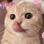 Fernando Torres avatar